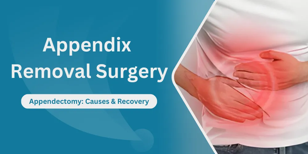 Appendix Removal Surgery
